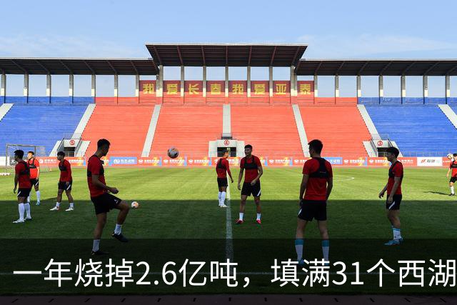 一年烧掉2.6亿吨,填满31个西湖!中国的垃圾,不够烧了?